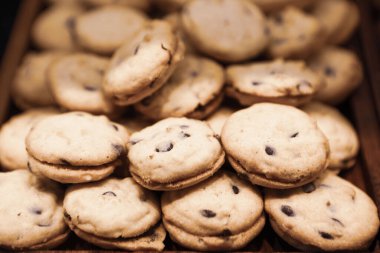 Bir grup çeşit kurabiye. Çikolata parçacıklı, yulaflı, kuru üzümlü, beyaz çikolatalı.