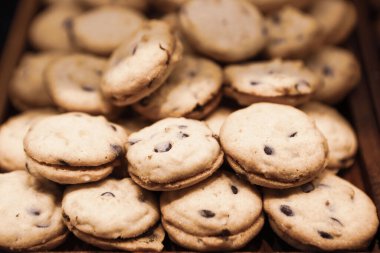 Bir grup çeşit kurabiye. Çikolata parçacıklı, yulaflı, kuru üzümlü, beyaz çikolatalı.