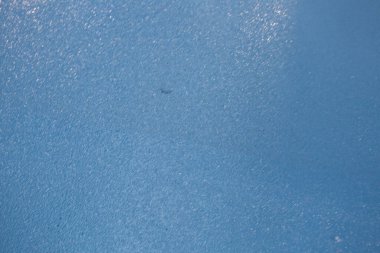 Güzel Soyut Grunge Dekoratif Donanma Mavi Karanlık Stucco Duvar Arkaplanı. Metin İçin Sanatsal Kaba Biçimlendirilmiş Döşeme Afişi