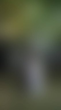 Bulanık arkaplan dokusu temasıName