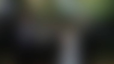 Bulanık arkaplan dokusu temasıName