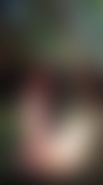 Bulanık arkaplan dokusu temasıName