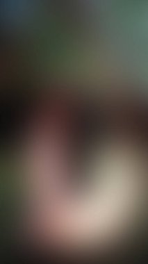 Bulanık arkaplan dokusu temasıName