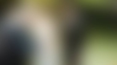 Bulanık arkaplan dokusu temasıName