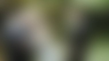 Bulanık arkaplan dokusu temasıName