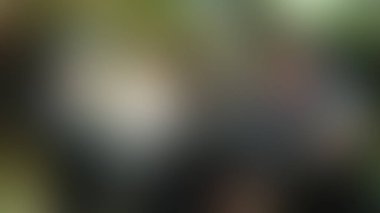 Bulanık arkaplan dokusu temasıName