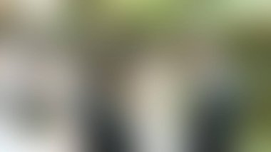 Bulanık arkaplan dokusu temasıName