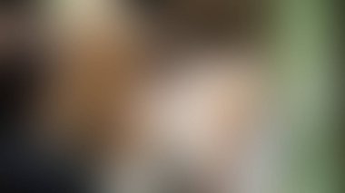 Bulanık arkaplan dokusu temasıName