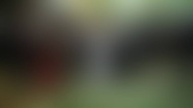 Bulanık arkaplan dokusu temasıName