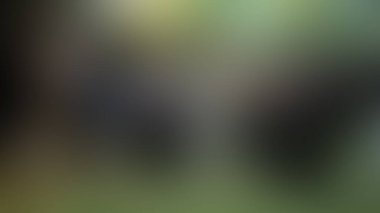 Bulanık arkaplan dokusu temasıName