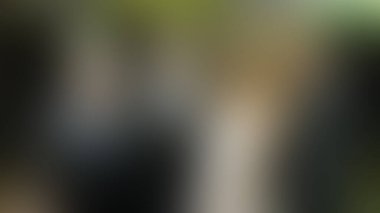 Bulanık arkaplan dokusu temasıName