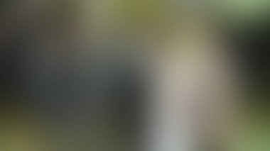 Bulanık arkaplan dokusu temasıName