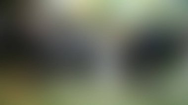 Bulanık arkaplan dokusu temasıName