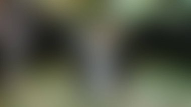 Bulanık arkaplan dokusu temasıName