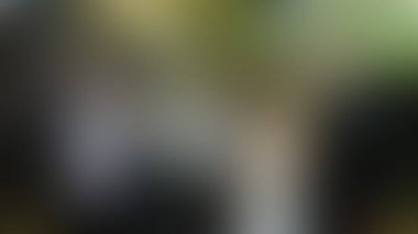 Bulanık arkaplan dokusu temasıName