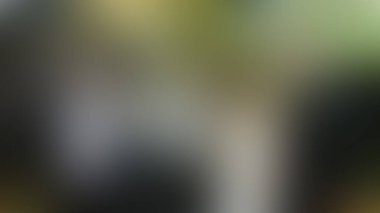 Bulanık arkaplan dokusu temasıName