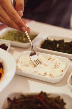 Geleneksel Türk ve Yunan yemek meze masası