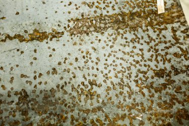 Paslı metal dokusu, eski grunge arkaplan