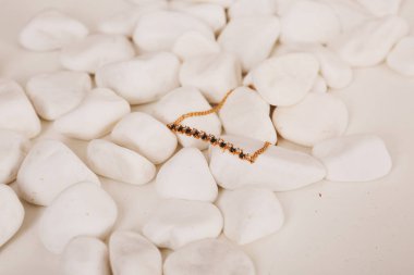 Elmas Mücevherler ve Moda Mücevherleri