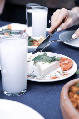 Özel Alkollü İçkili Rakılı Türk ve Yunan Geleneksel Yemek Masası. Uzo ve Türk Rakısı, Türkiye, Yunanistan, Kıbrıs ve Lübnan'da yaygın olarak tüketilen kuru anason aromalı bir aperatiftir.