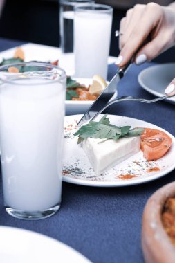 Özel Alkollü İçkili Rakılı Türk ve Yunan Geleneksel Yemek Masası. Uzo ve Türk Rakısı, Türkiye, Yunanistan, Kıbrıs ve Lübnan'da yaygın olarak tüketilen kuru anason aromalı bir aperatiftir.