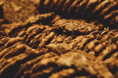 Bir grup çeşit kurabiye. Çikolata parçacıklı, yulaflı, kuru üzümlü, beyaz çikolatalı.