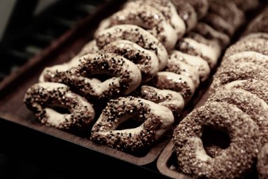 Bir grup çeşit kurabiye. Çikolata parçacıklı, yulaflı, kuru üzümlü, beyaz çikolatalı.