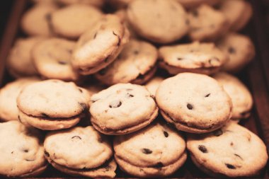 Bir grup çeşit kurabiye. Çikolata parçacıklı, yulaflı, kuru üzümlü, beyaz çikolatalı.