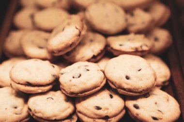 Bir grup çeşit kurabiye. Çikolata parçacıklı, yulaflı, kuru üzümlü, beyaz çikolatalı.