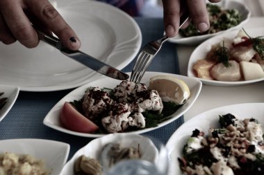 Geleneksel Türk ve Yunan yemek meze masası