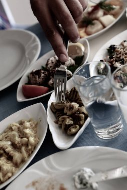 Geleneksel Türk ve Yunan yemek meze masası