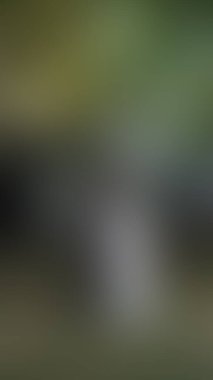 Bulanık arkaplan dokusu temasıName