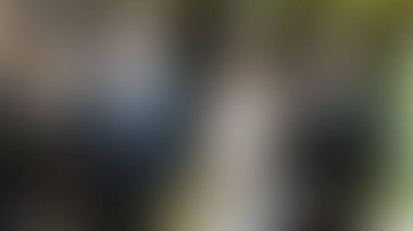 Bulanık arkaplan dokusu temasıName