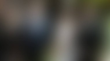 Bulanık arkaplan dokusu temasıName