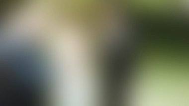 Bulanık arkaplan dokusu temasıName