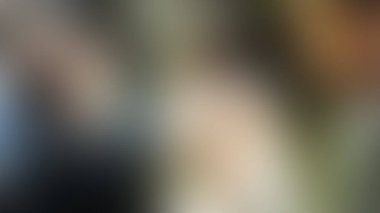 Bulanık arkaplan dokusu temasıName