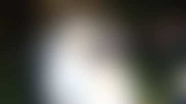 Bulanık arkaplan dokusu temasıName