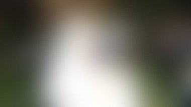 Bulanık arkaplan dokusu temasıName