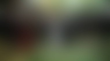 Bulanık arkaplan dokusu temasıName