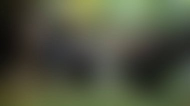 Bulanık arkaplan dokusu temasıName