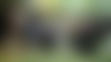 Bulanık arkaplan dokusu temasıName