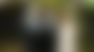 Bulanık arkaplan dokusu temasıName