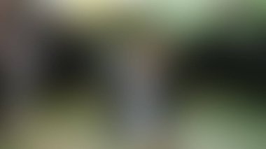 Bulanık arkaplan dokusu temasıName