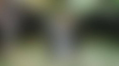 Bulanık arkaplan dokusu temasıName