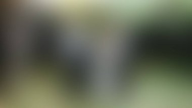 Bulanık arkaplan dokusu temasıName