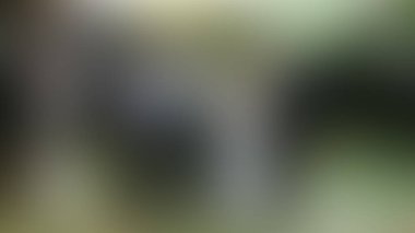 Bulanık arkaplan dokusu temasıName