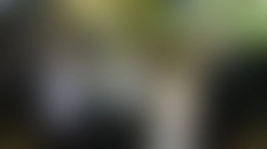 Bulanık arkaplan dokusu temasıName