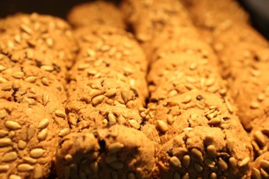 Bir grup çeşit kurabiye. Çikolata parçacıklı, yulaflı, kuru üzümlü, beyaz çikolatalı.