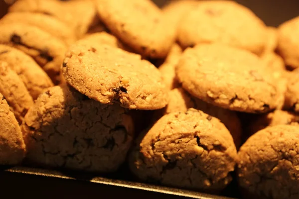 Bir grup çeşit kurabiye. Çikolata parçacıklı, yulaflı, kuru üzümlü, beyaz çikolatalı.