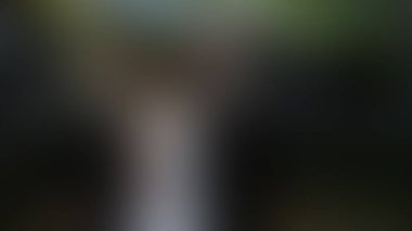 Bulanık arkaplan dokusu temasıName